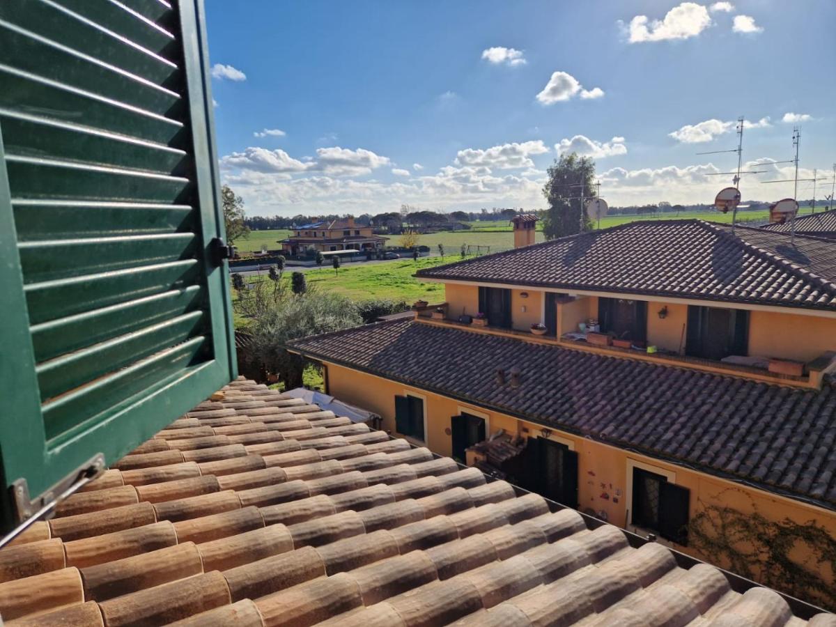 Casa Elsa Apartment Palidoro Bagian luar foto
