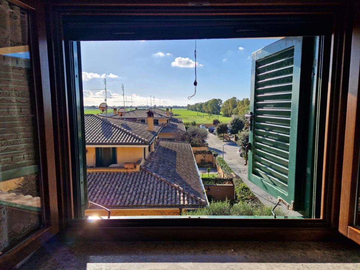 Casa Elsa Apartment Palidoro Bagian luar foto