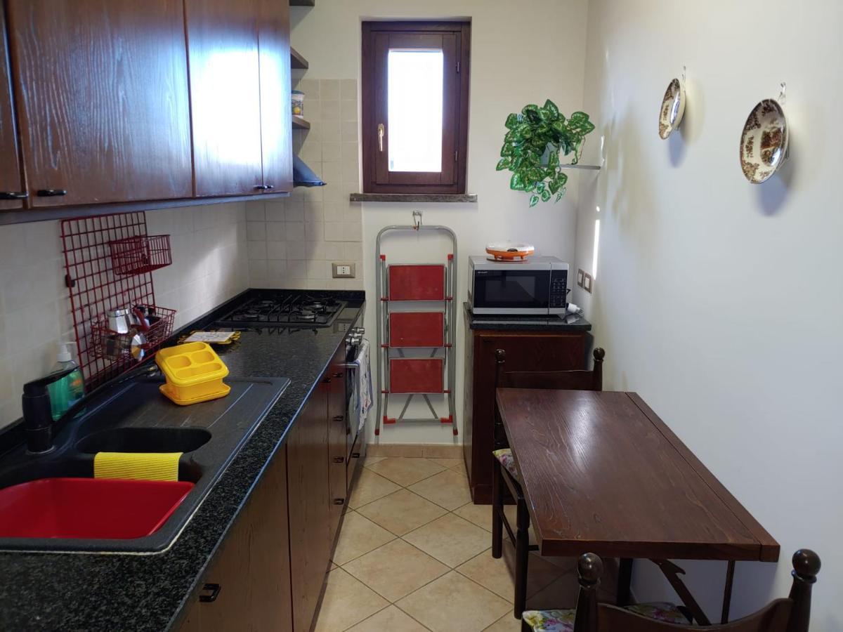 Casa Elsa Apartment Palidoro Bagian luar foto